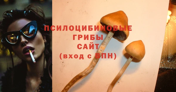 PSILOCYBIN Саяногорск