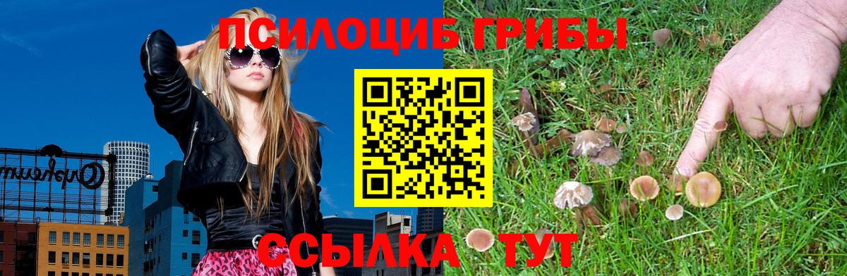 Галлюциногенные грибы прущие грибы  Вход с VPN  Лыткарино  Галлюциногенные грибы Psilocybine cubensis 