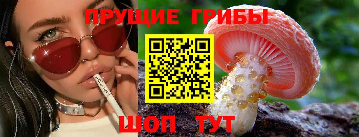 Псилоцибиновые грибы Cubensis Лыткарино